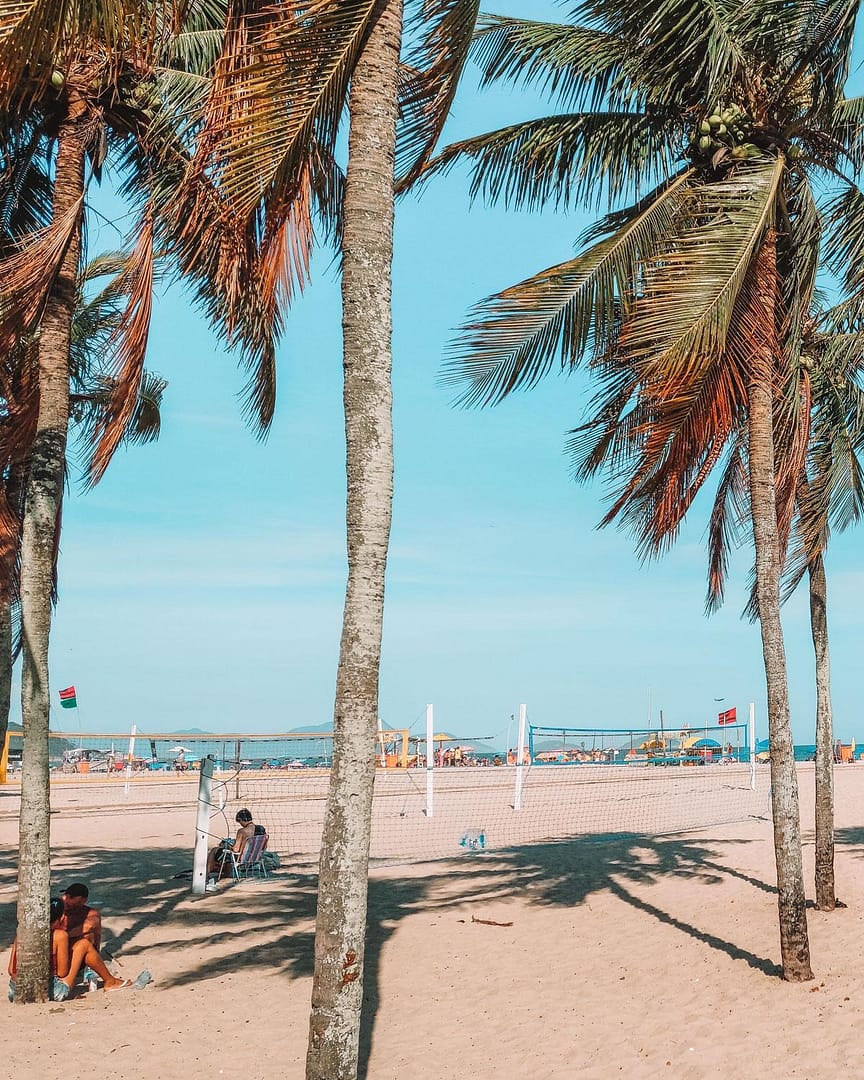 Escenario de un día soleado en la Playa de Copacabana, donde las palmeras resaltan bajo el cielo azul, acompañados por redes de vóley.